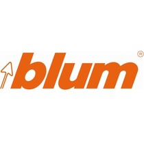 20130612 blum logo