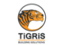 Logo tigris building solution