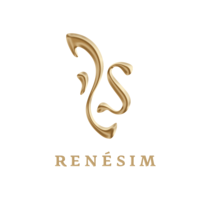 Renesim gmbh